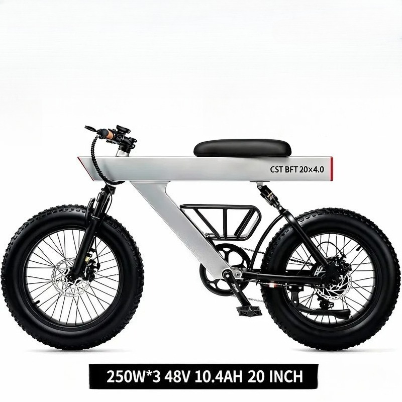 New Arrival 500W Adults Electr - Road Bike Tire 评论和价格