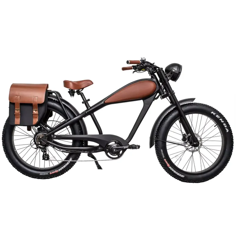 OEM 750W Hot Electric Vintage  - Road Bike Tire 评论和价格